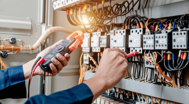Best Electrical Upgrades for Homes  in Belle Isle, FL