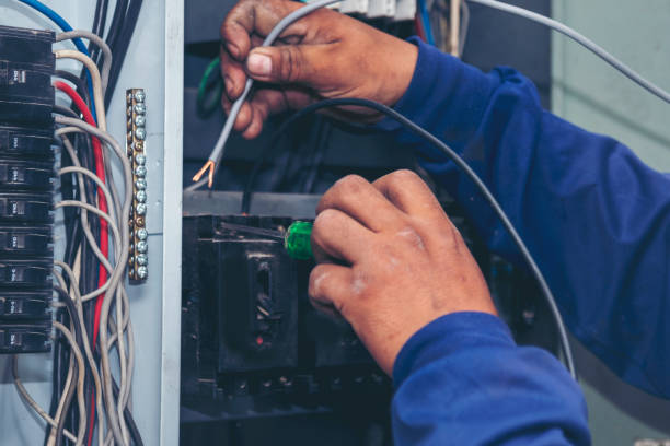 Best Licensed Electrician  in Belle Isle, FL